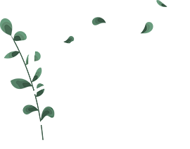Le logo de charlotte Basque